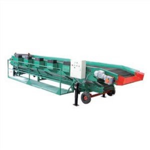Potato Sorting Machine